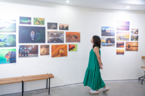 Výstava v Hanoji